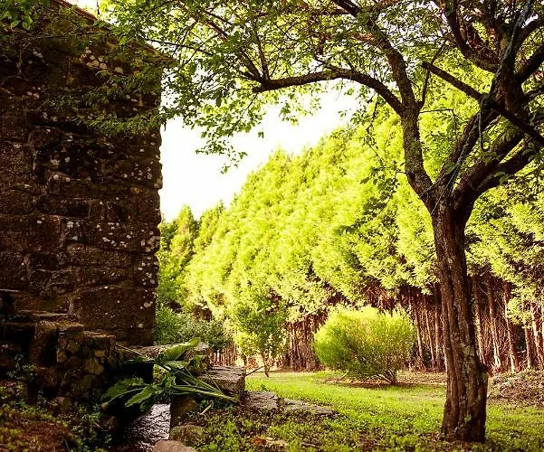 Bosque De Xaras, Casa Completa Con Encanto Cerca De Playa De Lapaman Vakantiehuis Marín