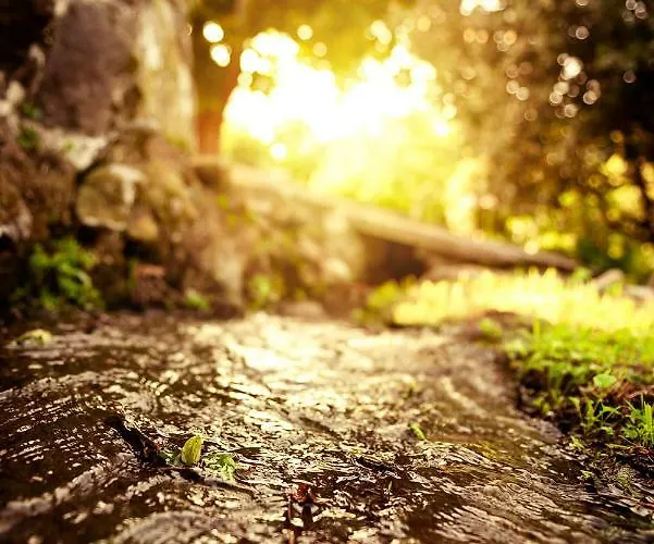 Bosque De Xaras, Casa Completa Con Encanto Cerca De Playa De Lapaman Marín