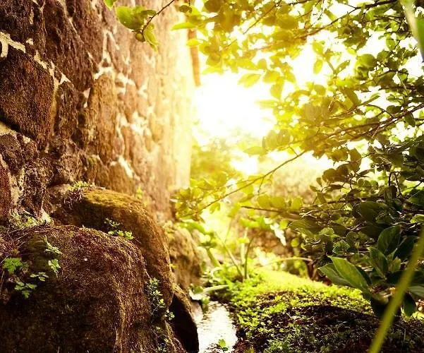 Bosque De Xaras, Casa Completa Con Encanto Cerca De Playa De Lapaman *